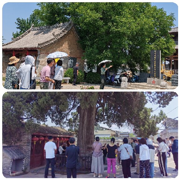 m88mansion体育官方